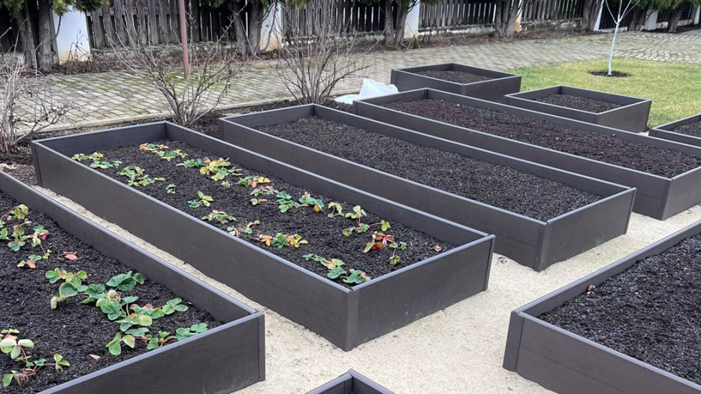 спб статья-2.jpg спб статья-2.jpg